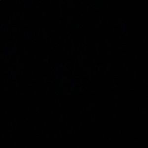 Meet your Posher, Anisha